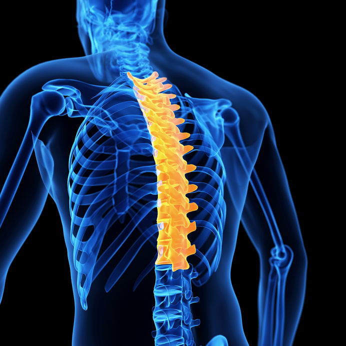 Thoracic